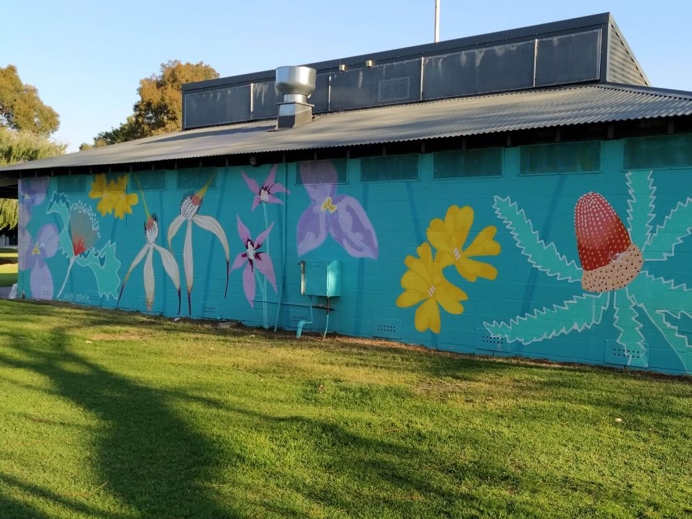 A colourful mural showing native flowers from WA including spider orchids,  fairy orchids,  banksias and Hibbertia