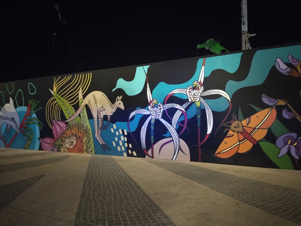 A vibrant mural showing a kangaroo, moth and some native flowers (including spider orchids, kangaroo paws and banksias