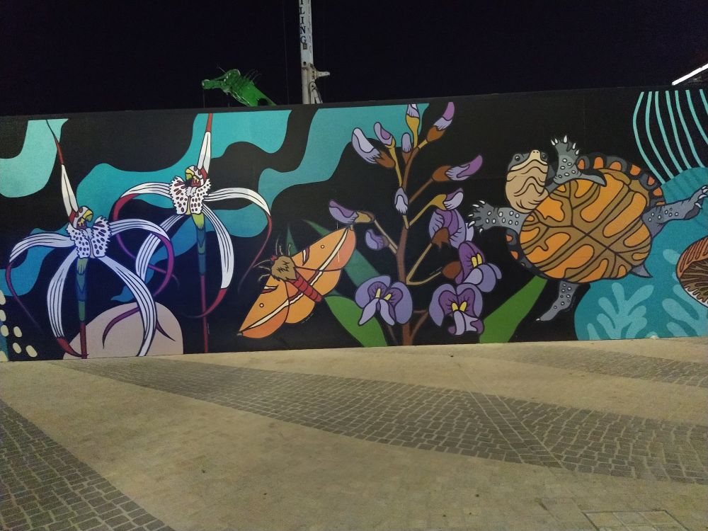 A colourful mural showing a moth, freshwater turtle and spider orchids and pea flowers 