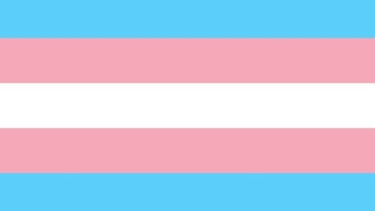 Bandeira trans