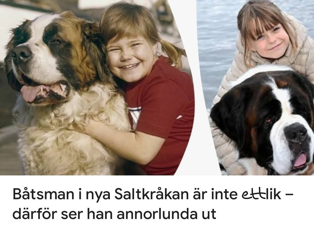 Bild på hunden Båtsman och karaktären Tjorven i Saltkråkan från orginalserien, och bild på de nya skådespelarna.
Rubrik: Båtsman i nya Saltkråkan är inte ett lik - därför ser han annorlunda ut. Tidigare stod att han inte är sig lik. 