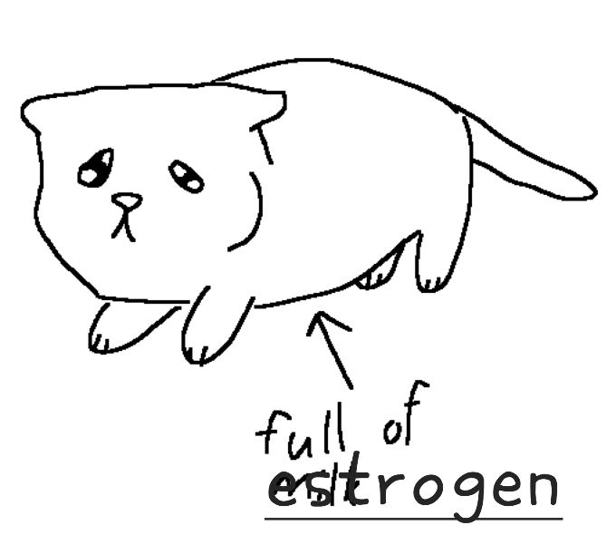 A drawing of a sad kitten, with an arrow pointed towards it, from the text "full of milk". The word "milk" has been hastily overlayed with the word "estrogen".