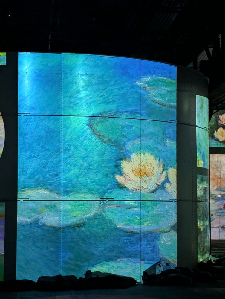 Bild der Seerosen von Monet 