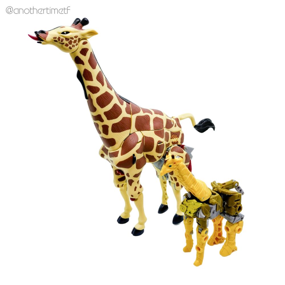 Wild King Lightlong, Igniteleo, Drillnohorn, Skyreport, Spiritua, Leafback, Thunderbeak and Captain Volca, Beast Wars Neo Longrack, 40th Anniv. Lio Convoy, Kingdom Rhinox and Airazor, AoE Movie Advanced Scorn, Snarl, Strafe and Grimlock