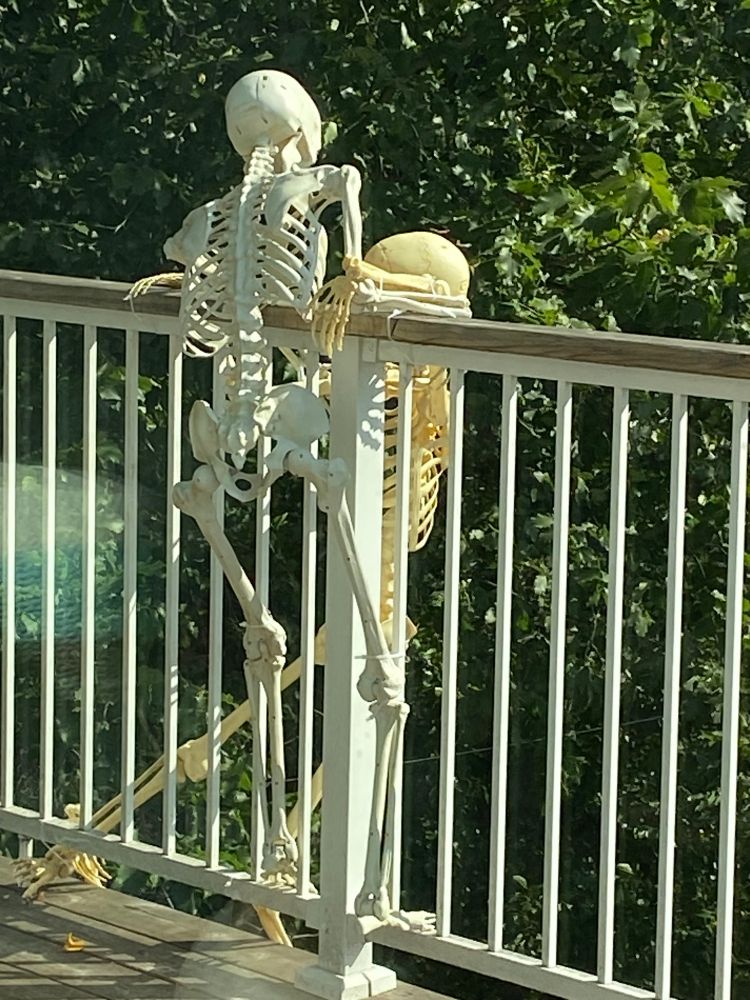 View from inside the house. One skeleton is helping others climb over the deck railing 