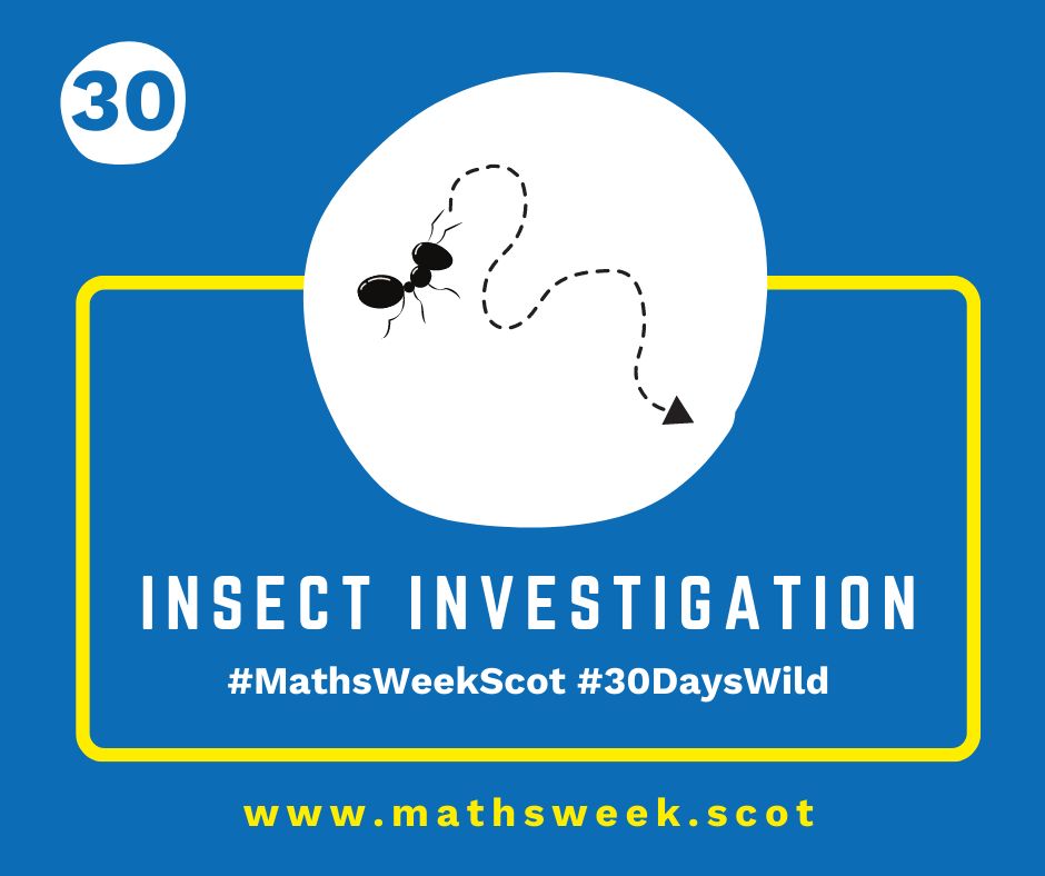 A colourful graphic with a blue background and a yellow frame. Overlapping the top of the frame is a white circle with a picture of a an ant with a dotted lined showing the path it's walking. Inside the yellow frame are the words "Insect Investigation" and the hashtags #MathsWeekScot and #30DaysWild. Under the frame is the Maths Week website URL.