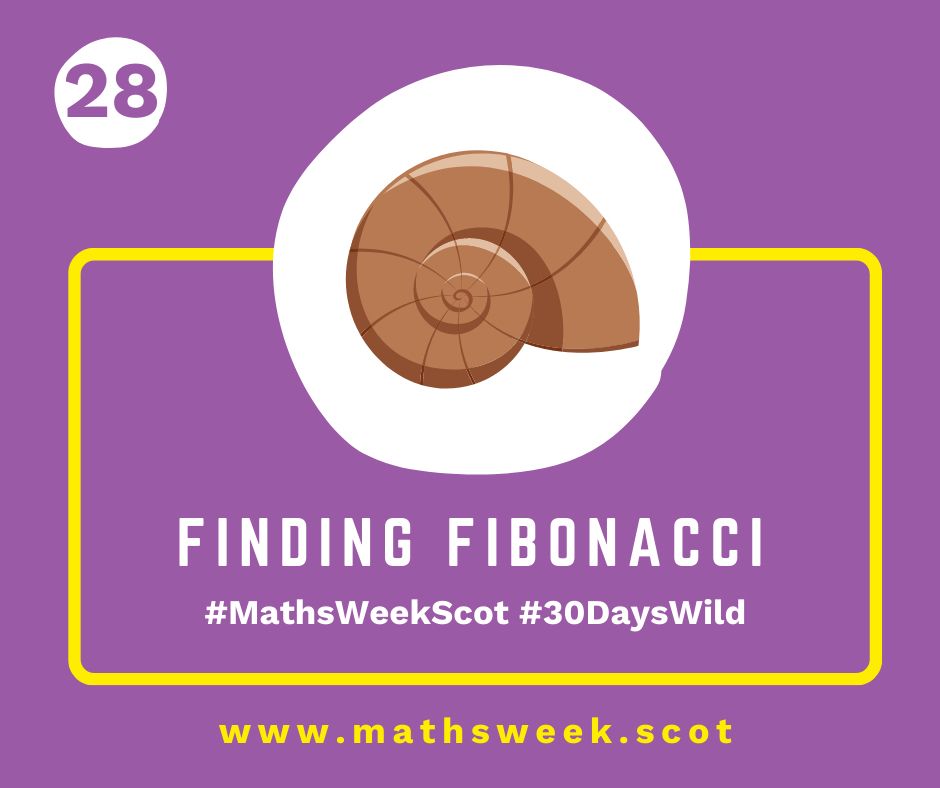 A colourful graphic with a purple background and a yellow frame. Overlapping the top of the frame is a white circle with a picture of a shell. Inside the yellow frame are the words "Finding Fibonacci" and the hashtags #MathsWeekScot and #30DaysWild. Under the frame is the Maths Week website URL.