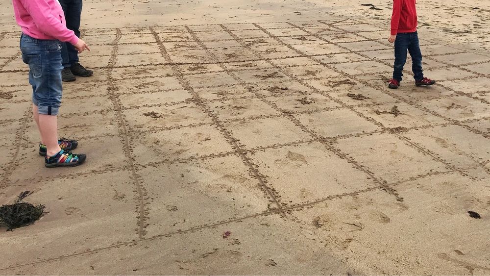 Photograph showing a sandy beach, with a grid marked on it. you can see the lower body of three people, who are standing on the grid. Some of the grid squares have crosses in them.