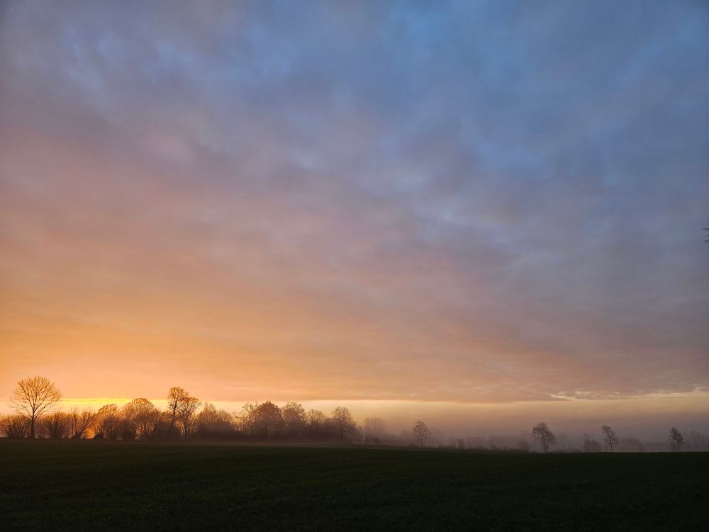 Morgendämmerung im Nebel. Der Himmel noch zweigeteilt in dunkel und hell
