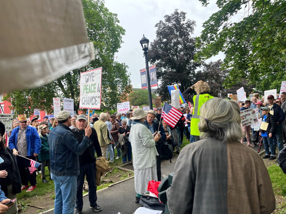 A crowd gathered in a park with various protest signs against the current regime. 