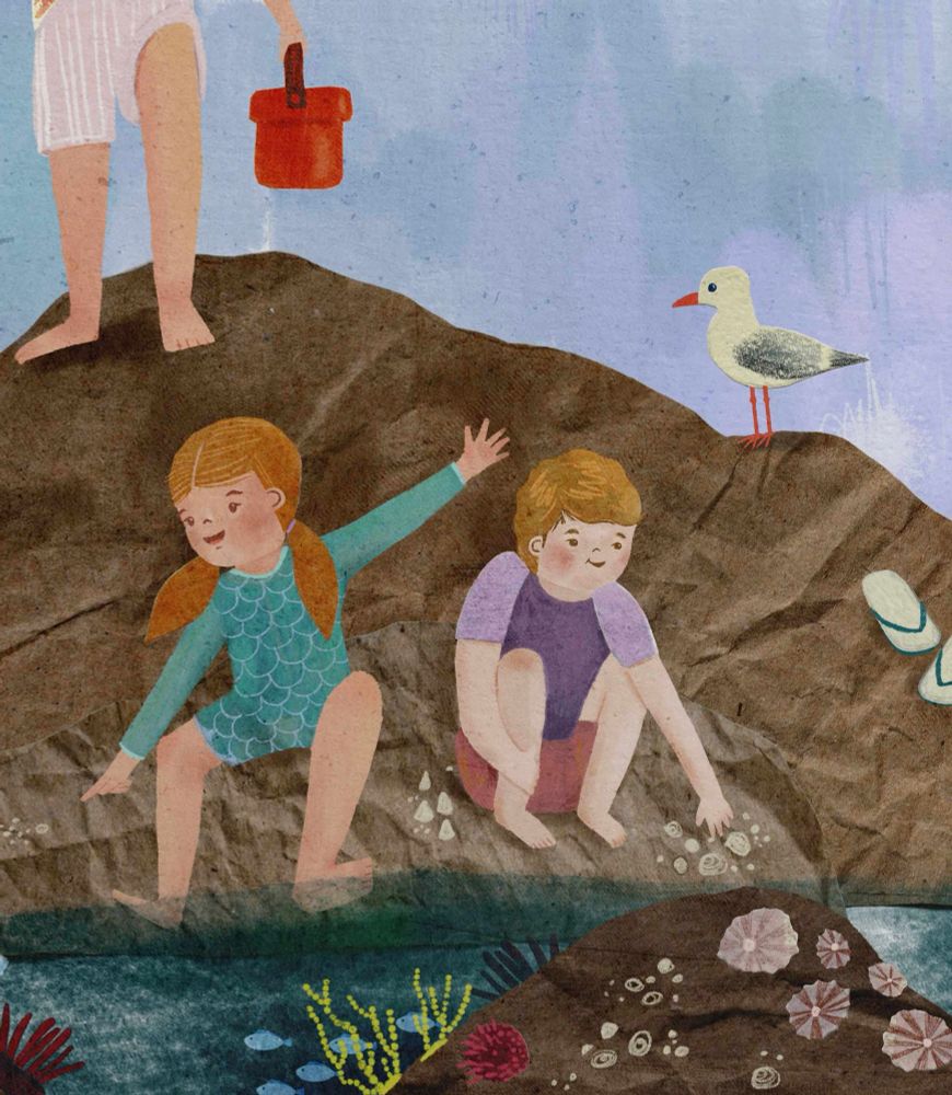 A collage illustration of 2 kids exploring a rockpool.