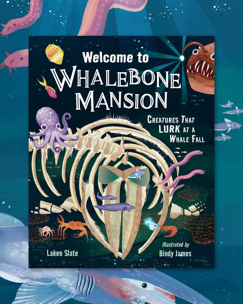 Book cover for “Welcome to Whalebone Mansion”. The cover is of a whale skeleton with octopus, crabs and fish lurking around it. 