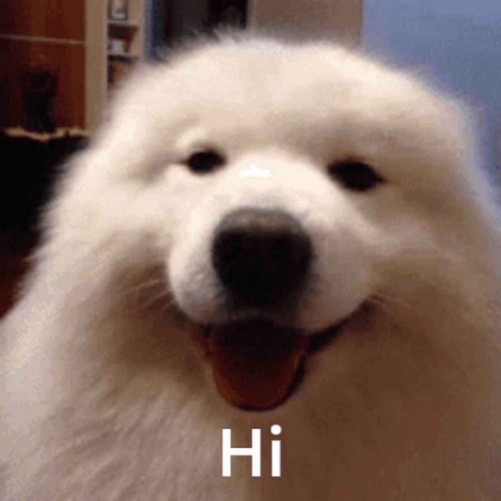 a white dog is smiling and saying hi with its tongue out .