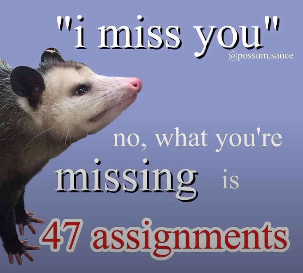 Possum  saying:""I miss you" No what you're missing is 47 assessments"