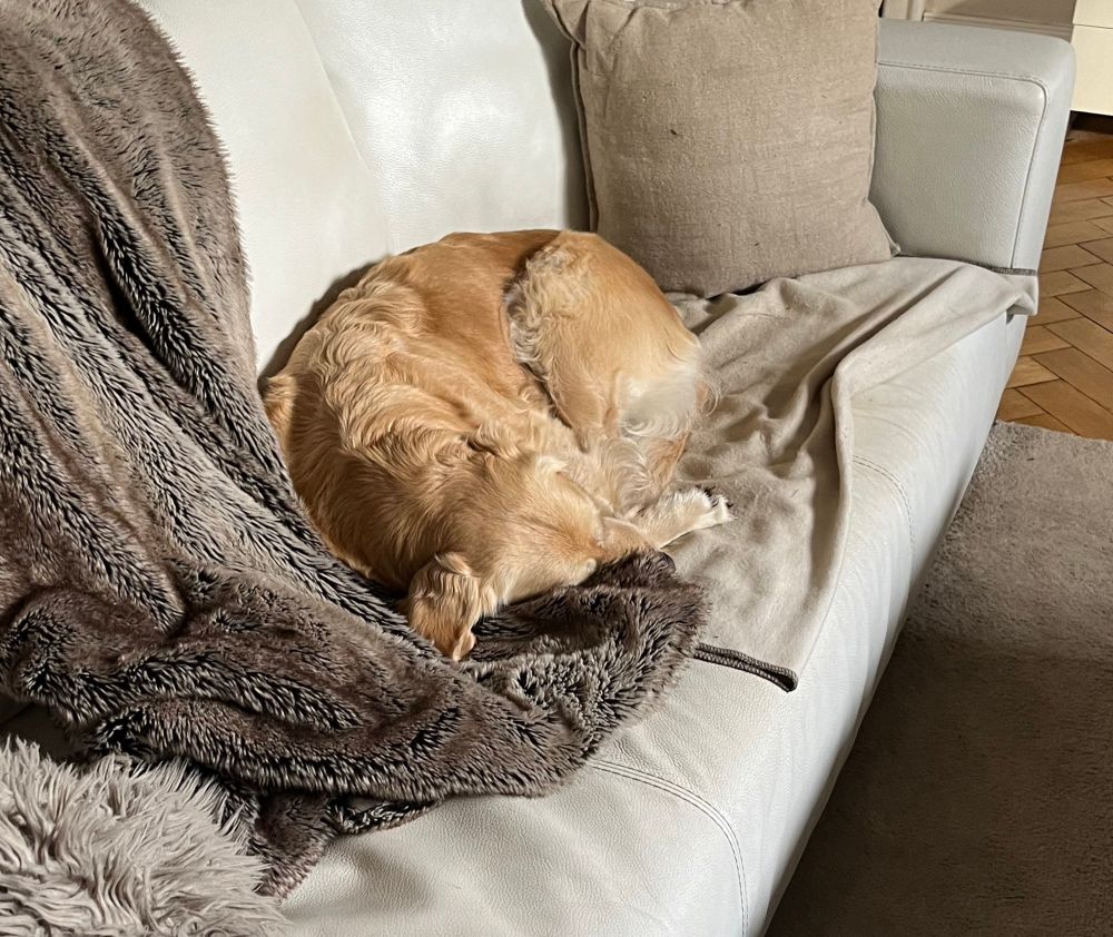 Man sieht Mia schlafend auf der Couch liegen. 