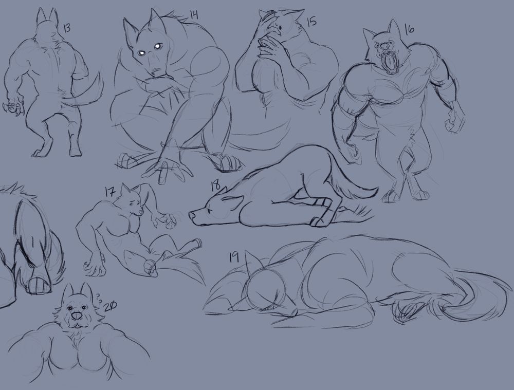 Werewolf pose sketches. 
13 features one shown from their backside standing on their hind/back legs. 
14 Is a crouched werewolf with their eyes focused on you, while licking their hands clean. 
15 Is a werewolf bust (showing from their hips upwards) with their hands over their face and snout. 
16 Is a werewolf standing up on their back legs, but leaning forward as they roar or bark at you, looking as if they will pounce you at any moment. 
17 Is up against something, but are sitting on the floor/ground. It's as if they fell backwards because they are shocked at the sight of their body; like this is their first shift.
18 Is a bummed out werewolf, moping on the ground.
19 Is a sleepyhead, laying like a human with their upper body, but more like a canine with their lower half.
20 Is a shot of a werewolf looking down at you while hovering above you.
