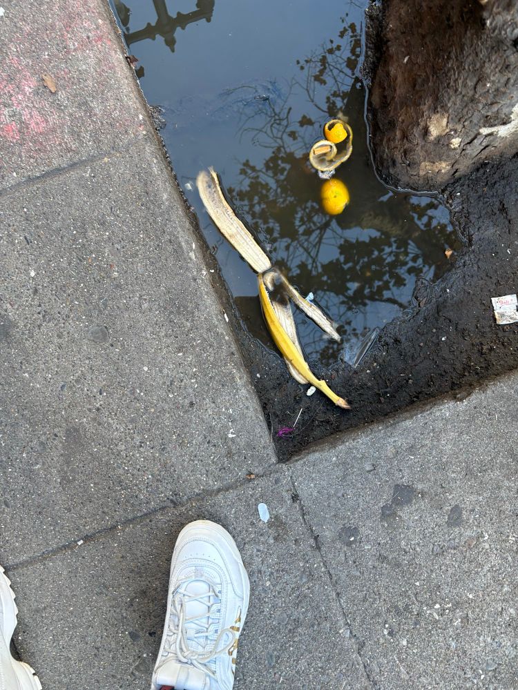 A banana peel, in a puddle, by a tree, on a street in San Francisco. The photographer’s white Fila disruptors at the bottom of the frame. 