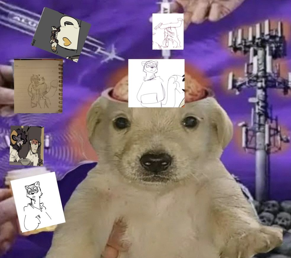 Comment image