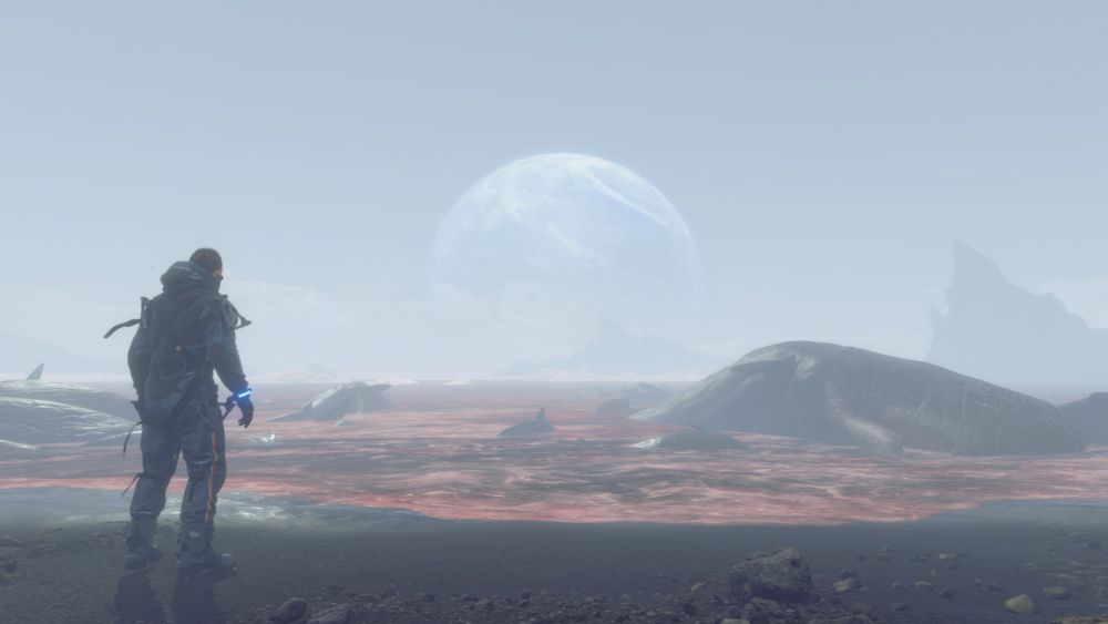 Sam standing on Amelie's beach surrounded by dead sea animals and looking out to the earth on the horizon.