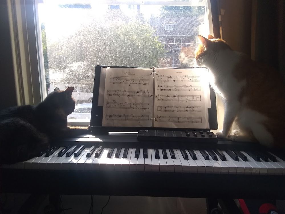 Two cats sit on a digital piano.
