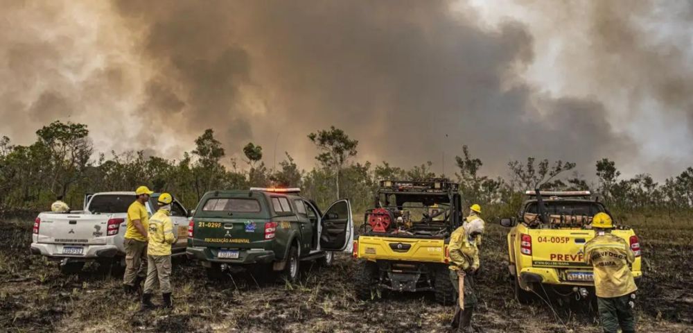 Monitoramento mostra que 99% das queimadas no Brasil ocorrem por ação humana