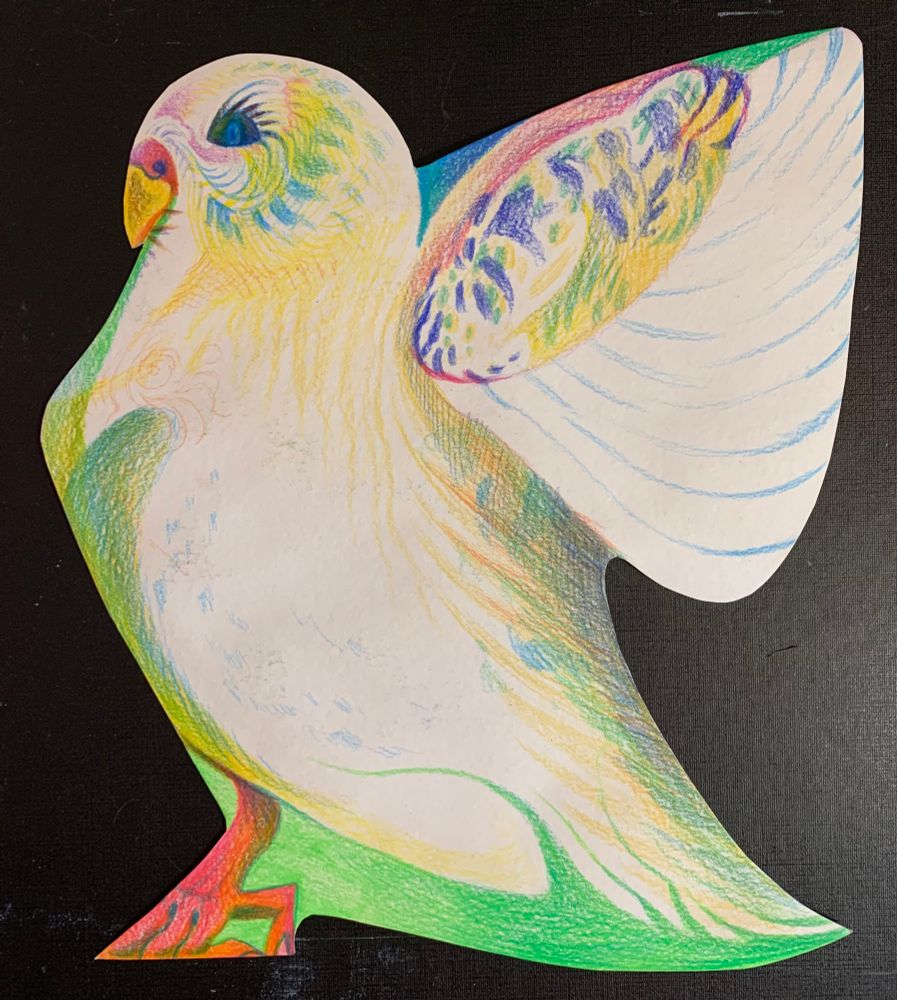 back: Marty McFly parrot