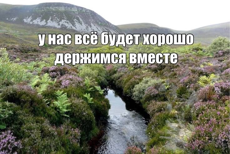 надеюсь правда 