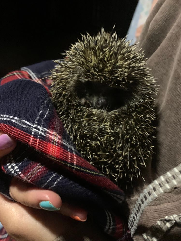 mom's turn to hold