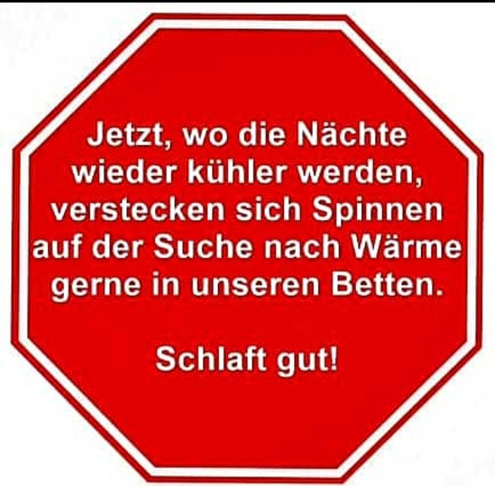 Ein Text 
Jetzt wo die Nächte wieder kühler werden, verstecken sich Spinnen auf der Suche nach Wärme gerne in unseren Betten 