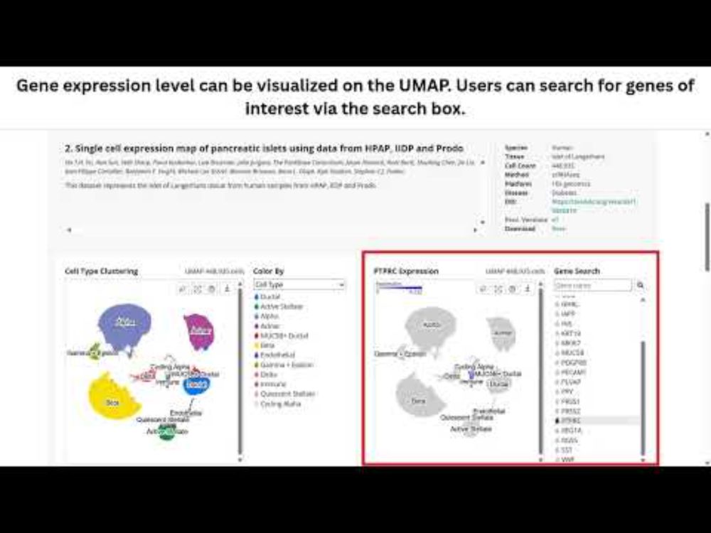 PanKbase Single Cell Browser Tutorial - June 2025