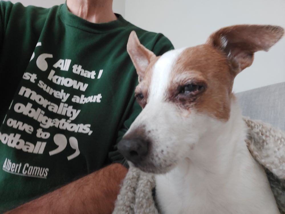 Freya, a small brown and white terrier dog, sitting on a sofa wrapped in a blanket. Sat next to her is me; you can see my trunk, I'm wearing a philosophy football top with an Albert Camus quote on it: "Everything I know most surely about morality and obligations I owe to football"