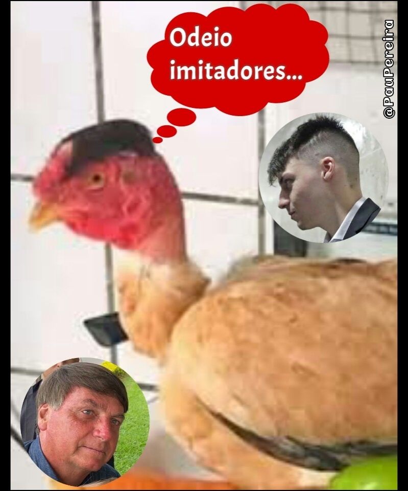 Comment image