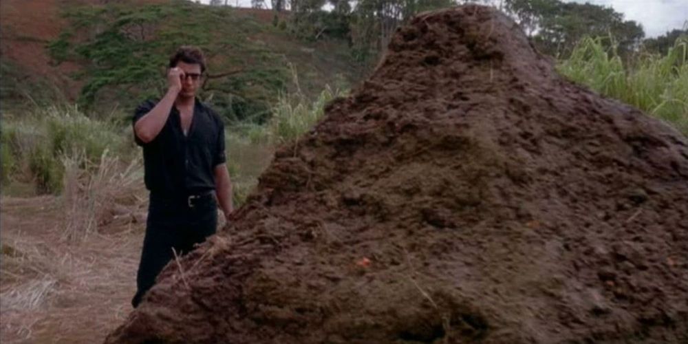 From Jurassic Park, Jeff Goldblum looking at a massive pile of dung