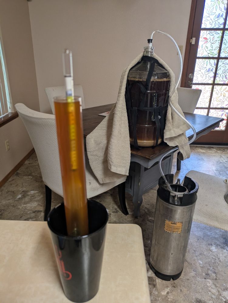 A test tube with altbier in it and a hydrometer to take specific gravity measurements. In the background is a carboy full of beer with a siphon going into a 5 gallon keg