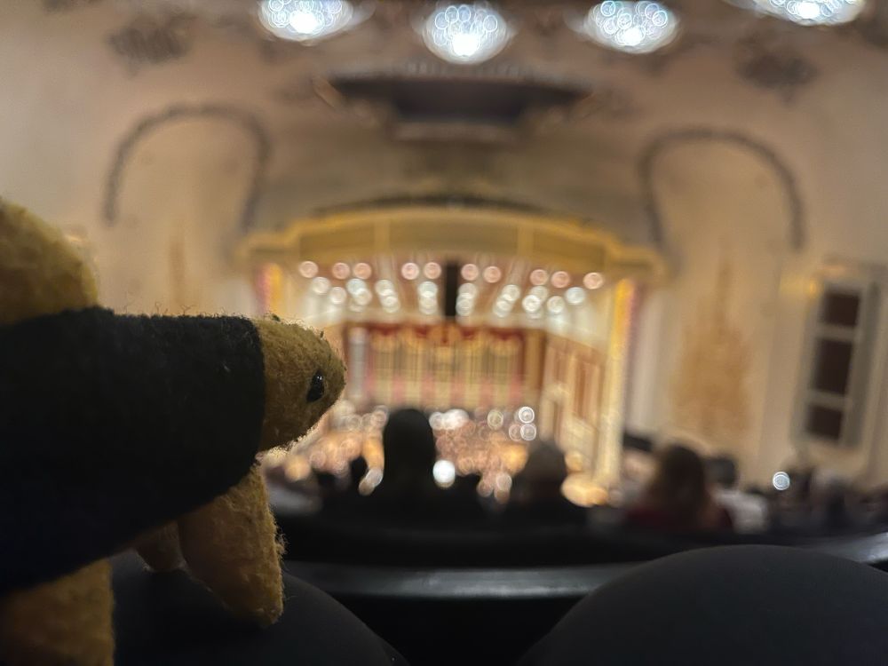a black and gold felt trout resting on a person’s knee facing an out of focus concert hall