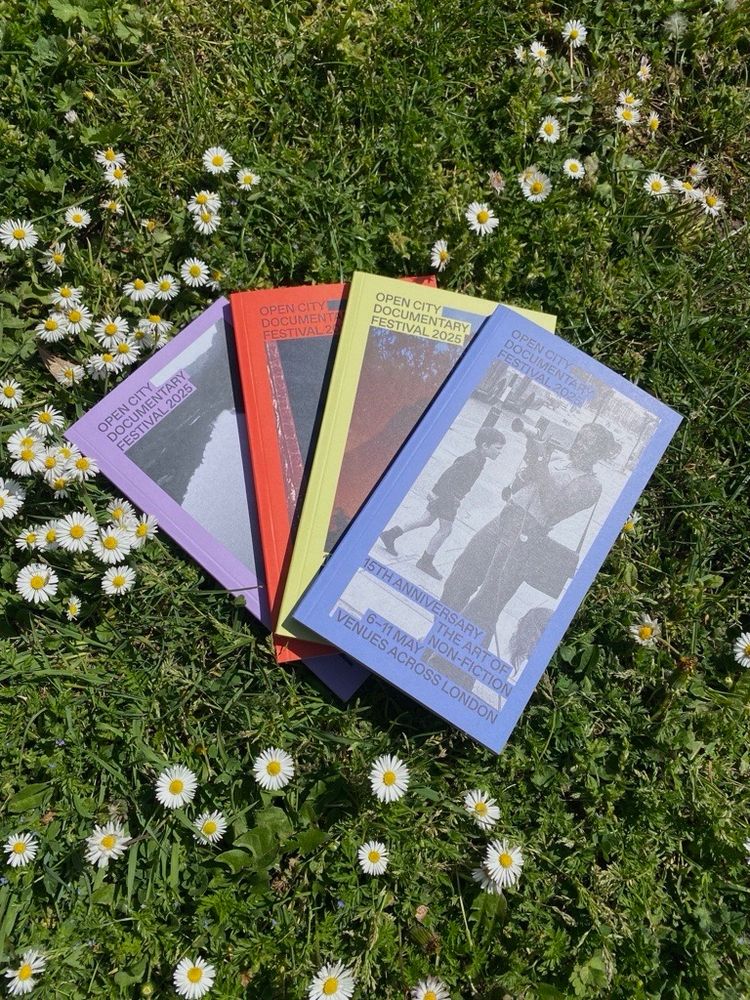 A spread of Open City 2025 brochures in a range of colours laid out on grass 