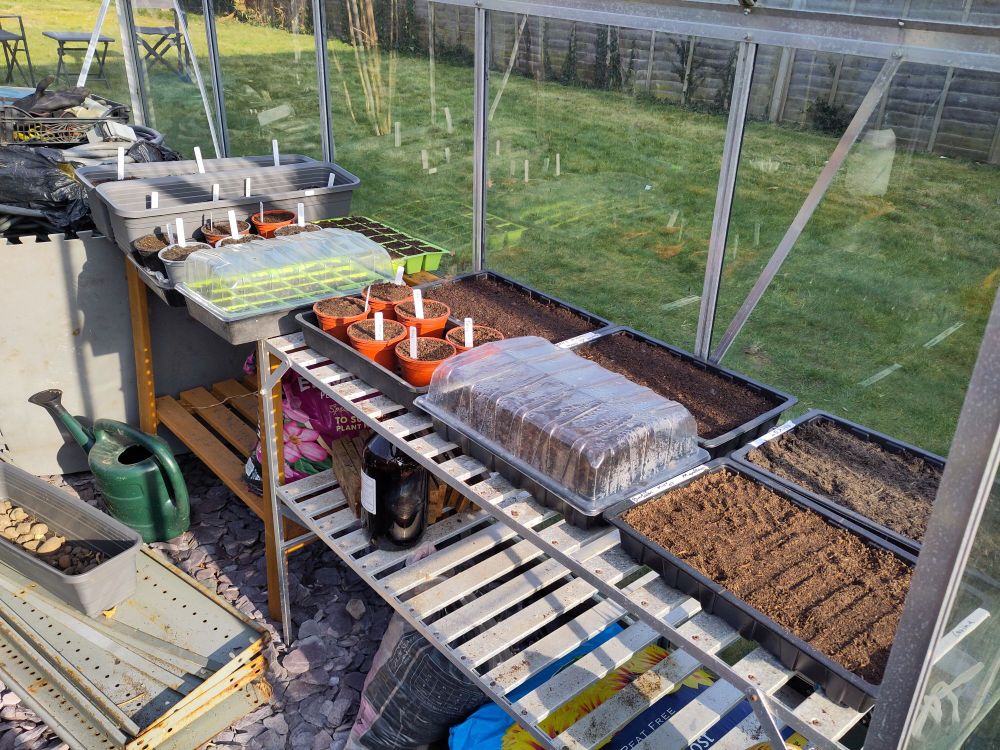 A greenhouse full of freshly planted seed trays and pots