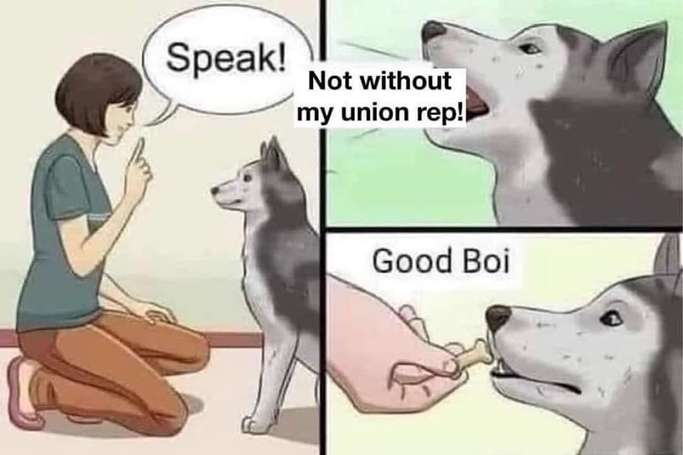 Three panel cartoon drawing with a woman and a dog. The first panel shows a woman kneeling in front of her dog saying speak. The second panel the dog says "not without my union rep". The third panel the woman says "good boi" and gives a treat to the dog.
