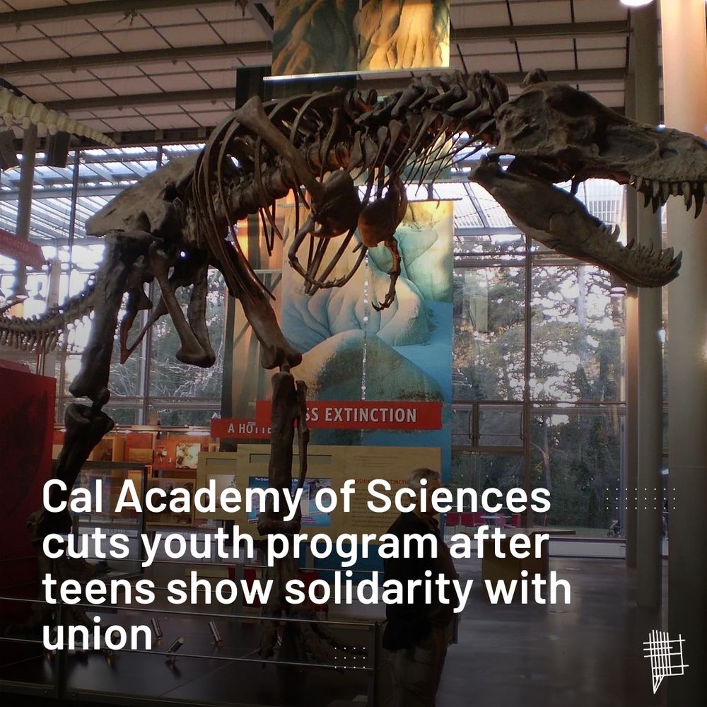 MissionLocal graphic with a picture of a dinosaur skeleton at the cal academy of sciences with the text "Cal Academy of Sciences cuts youth program after teens show solidarity with union"