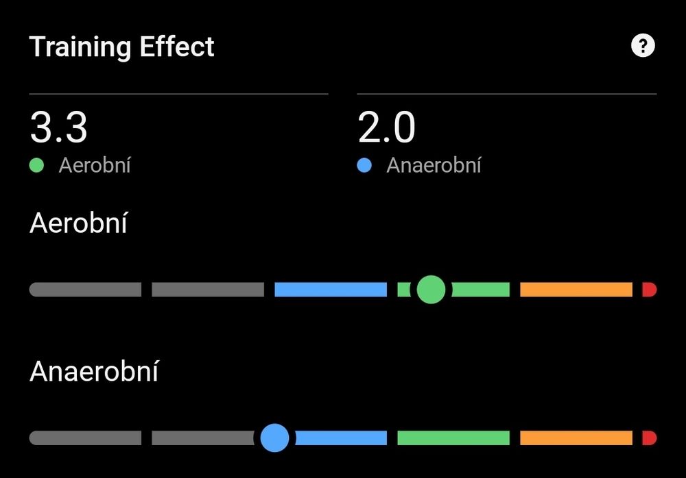 Screenshot from Garmin connect 