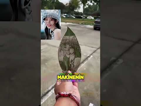 Bu Adam Fotoğrafları Yapraklara Kazıyor 😳