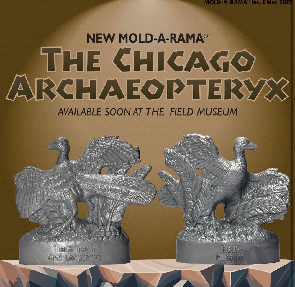 An archaeopteryx mold-a-Rama toy available soon at the field museum
