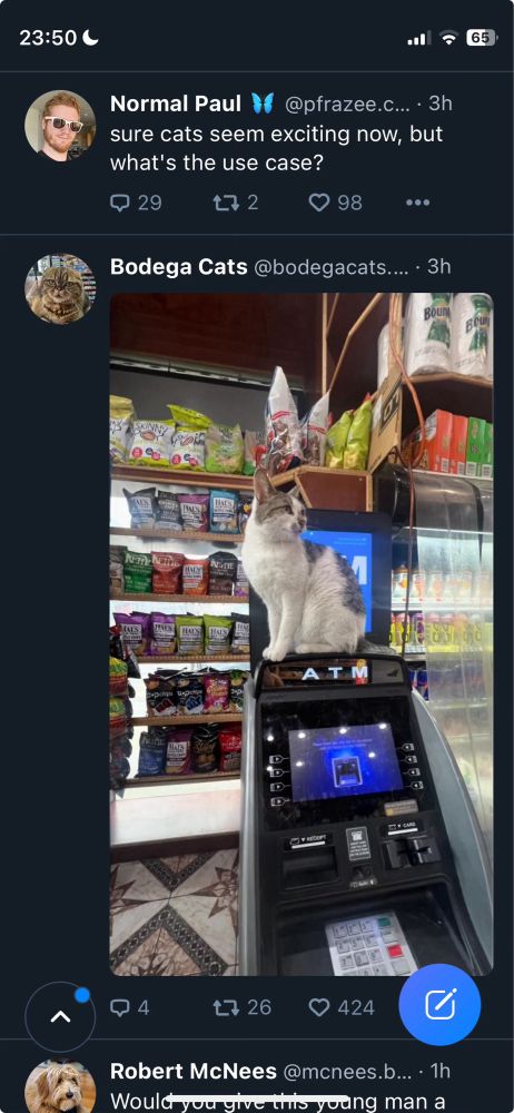 A tweet of the OP followed by a picture of a bodega cat on an ATM machine