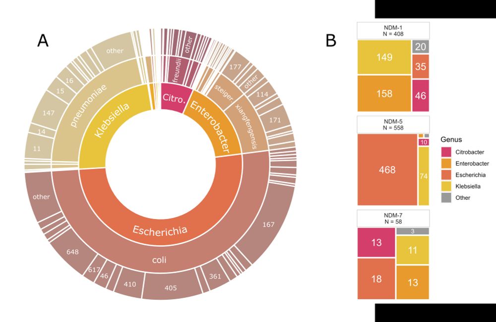 Figure depicting species and genes found in the isolate dataset 
