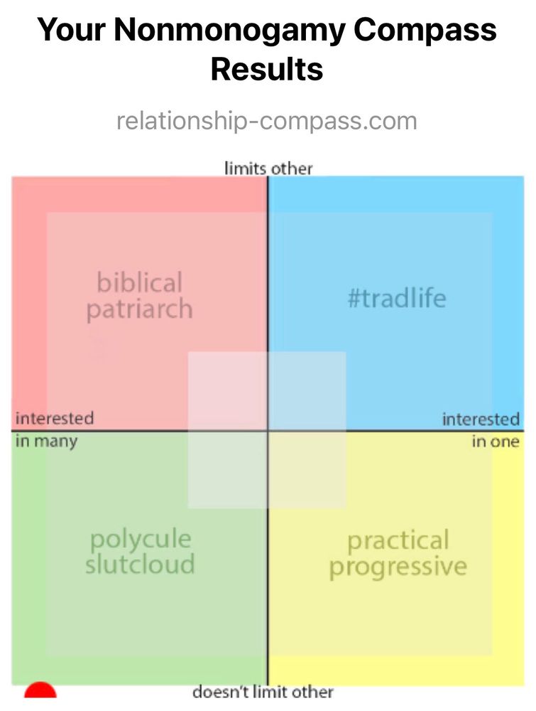 Nonmonogamy test results placing me firmly in the “polycule slutcloud”