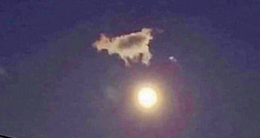 Who would have thought?
A cow flying over the moon!🤣