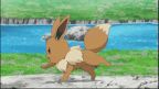 Eevee jumping around in a circle 