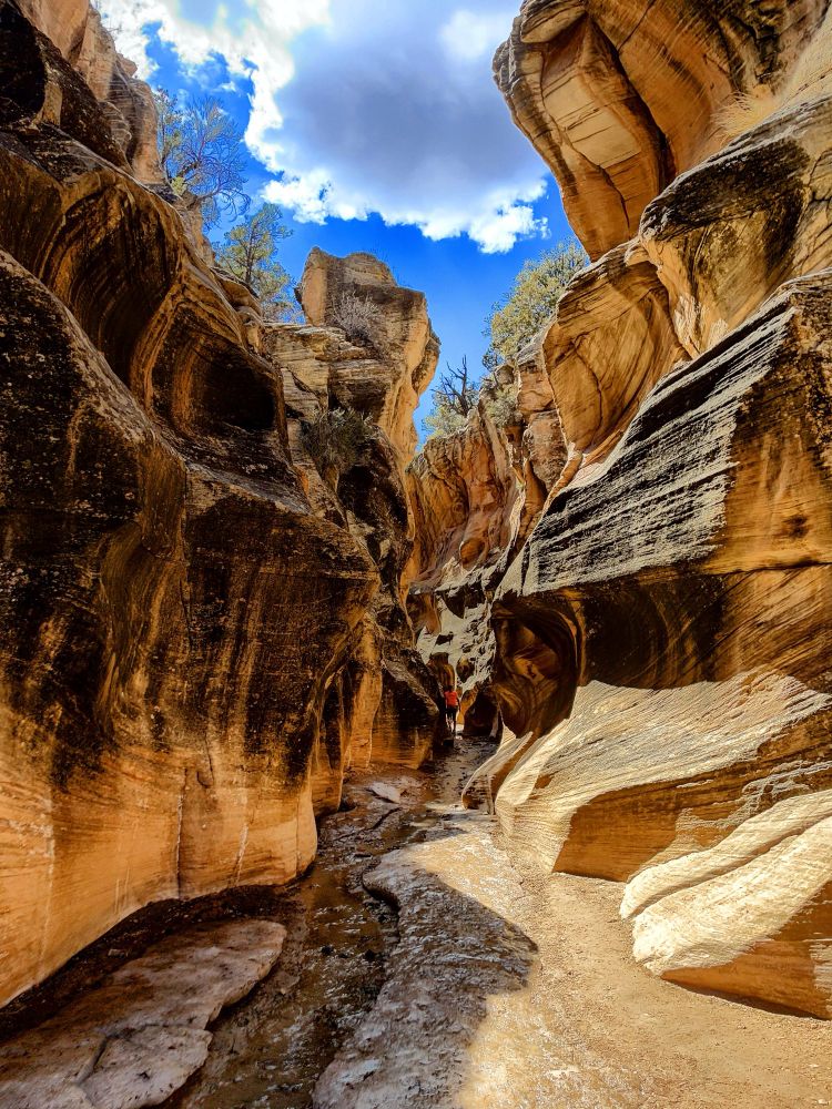 Vibrant color image of a slot canyon with a patch of blue sky and a fluffy white cloud, taken in Grand Staircase-Escalante National Monument near Kanab Utah.