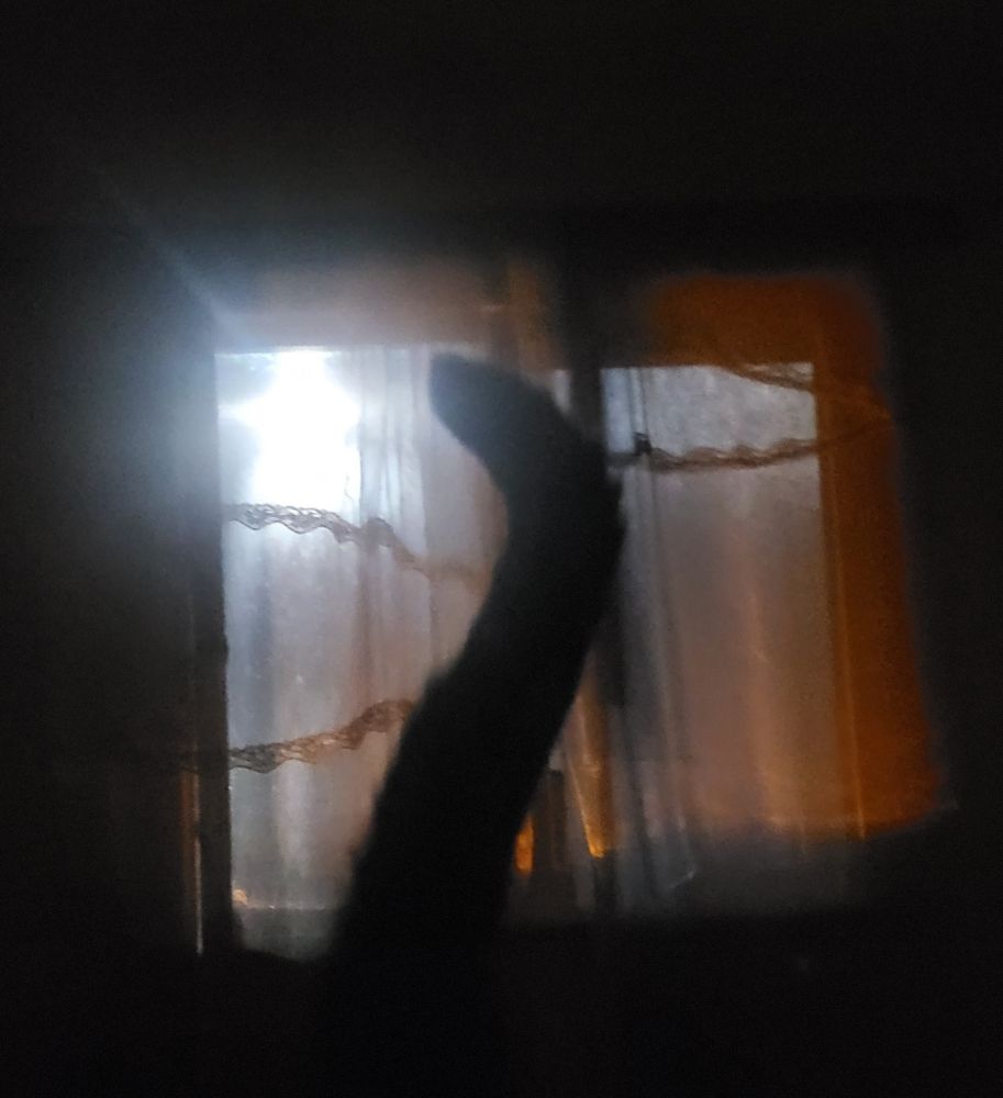 Glare of the full moon through light curtains and a cats tail