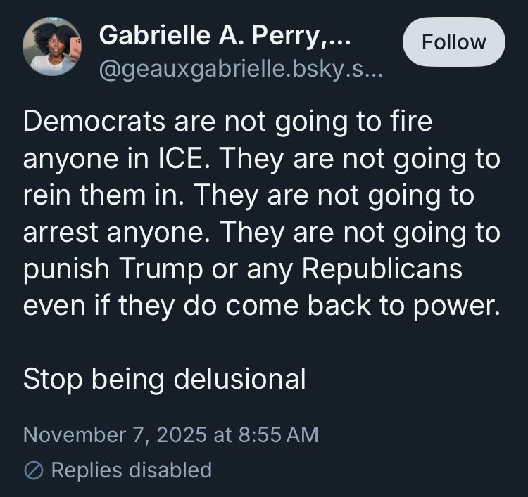 Democrats are not going to fire anyone in ICE. They are not going to rein them in. They are not going to arrest anyone. They are not going to punish Trump or any Republicans even if they do come back to power. 

Stop being delusional